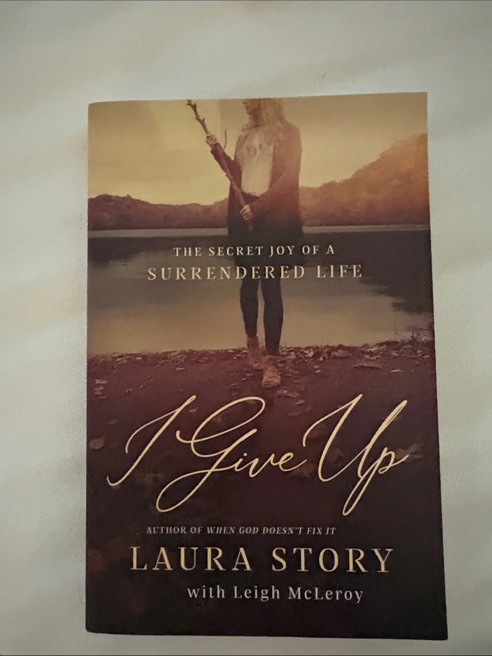 I Give Up by Laura Story - Soft Brown & Cream Book Cover